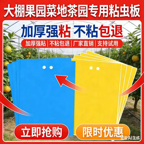 双面粘虫板黄板蓟马纸贴黄蓝飞虫小黑飞果园沾果蝇诱捕器粘板大棚