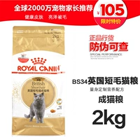 Royal Cat Food BS34 British Shorthair Cat Food 2KG British Short Fold Cat Main Food - Cat Staples Cách mix hạt cho mèo