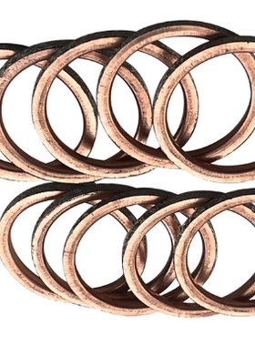 FJR1300 FZ1N FZ1000 FZ1S Fazer FZ1000 FZ8N FZ800 排气管垫片