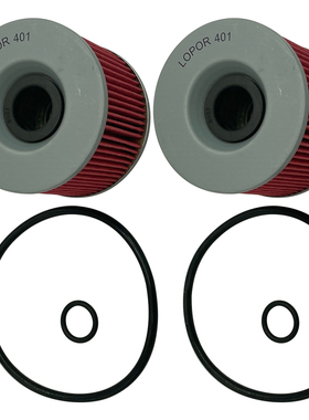 EL250 EL252 EX/GPZ250R Ninja GPX250R Ninja 250 机油滤芯