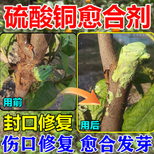 硫酸铜愈合剂果树流胶病专用药腐烂病修剪嫁接腐烂伤口消毒涂抹剂