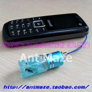 时尚生态手机挂件 蚁族手机链 蚂蚁手机挂件 科教礼品 包包挂饰