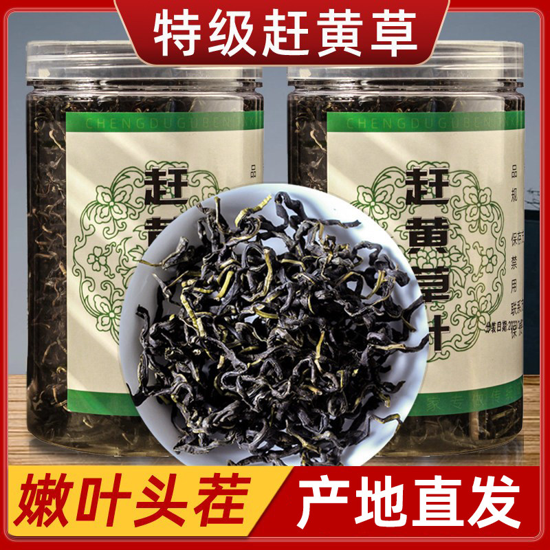 【正品】古蔺野生特级赶黄草中药材护肝茶四川肝苏草全草赶黄草茶