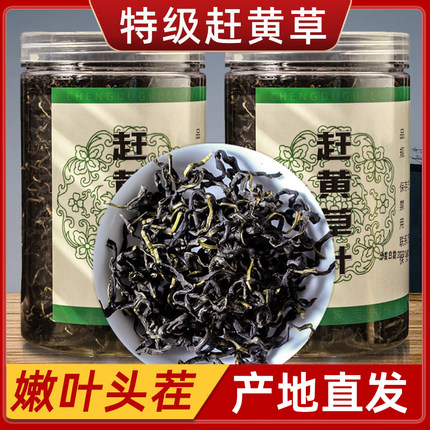 【正品】古蔺野生特级赶黄草中药材护肝茶四川肝苏草全草赶黄草茶