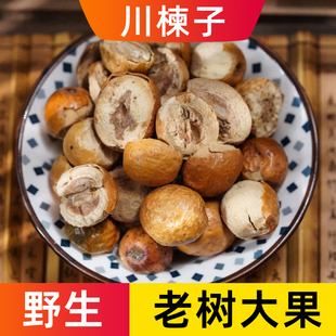 包邮 苦楝子楝实金铃子天然楝实500g无硫新货 川楝子中药材野生正品