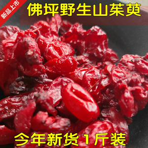 今年现货秦岭新货山茱萸佛坪农家山茱萸肉枣皮无核山萸肉500g包邮