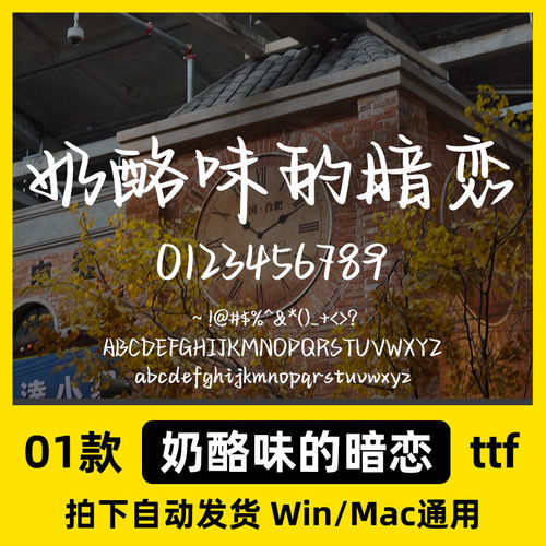 字体/Procreate做/GoodNotes亨奶酪暗恋手写味的ttf格式笔记包