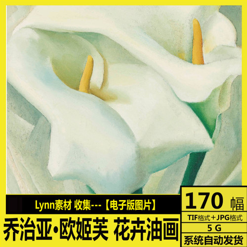 乔治亚 欧姬芙 Georgia O'Keeffe 花卉油画 高清电子图装饰画素材