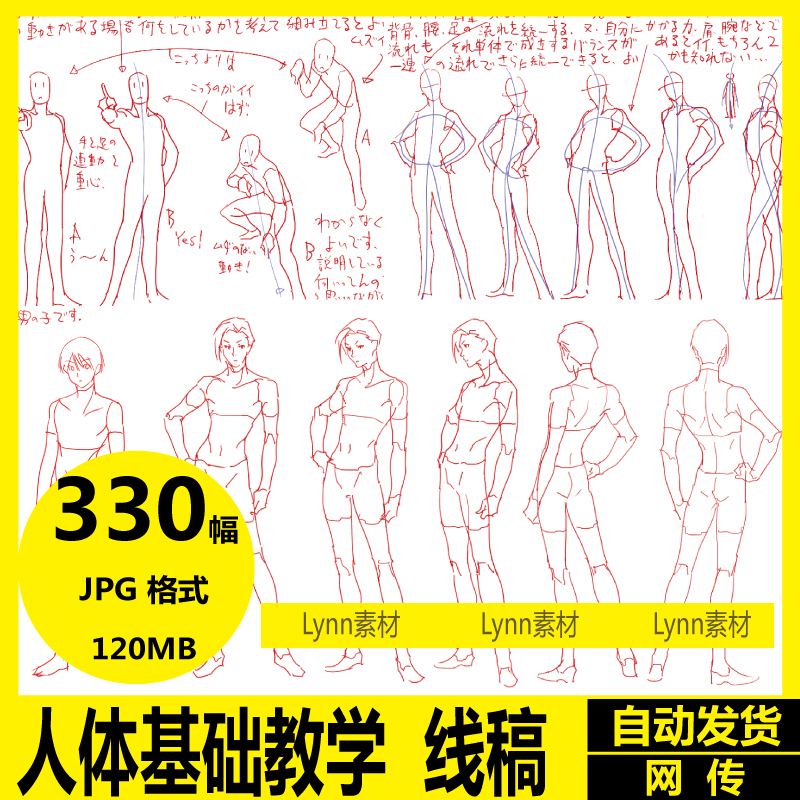 人体基础教学线稿形体动态男女表情手足绘画CG原画游戏参考素材-封面