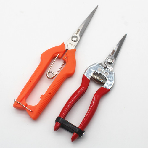 专业稀果剪水果剪刀摘果剪