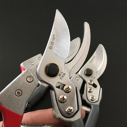 SK5不锈钢剪枝剪子花枝果木剪刀