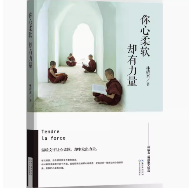 【库存 瑕疵】你心柔软 却有力量 林清玄著新的散文精选 亲自写长篇序言 星云大师余秋雨毕淑敏尹建莉推荐 中国现当代随笔散文文学