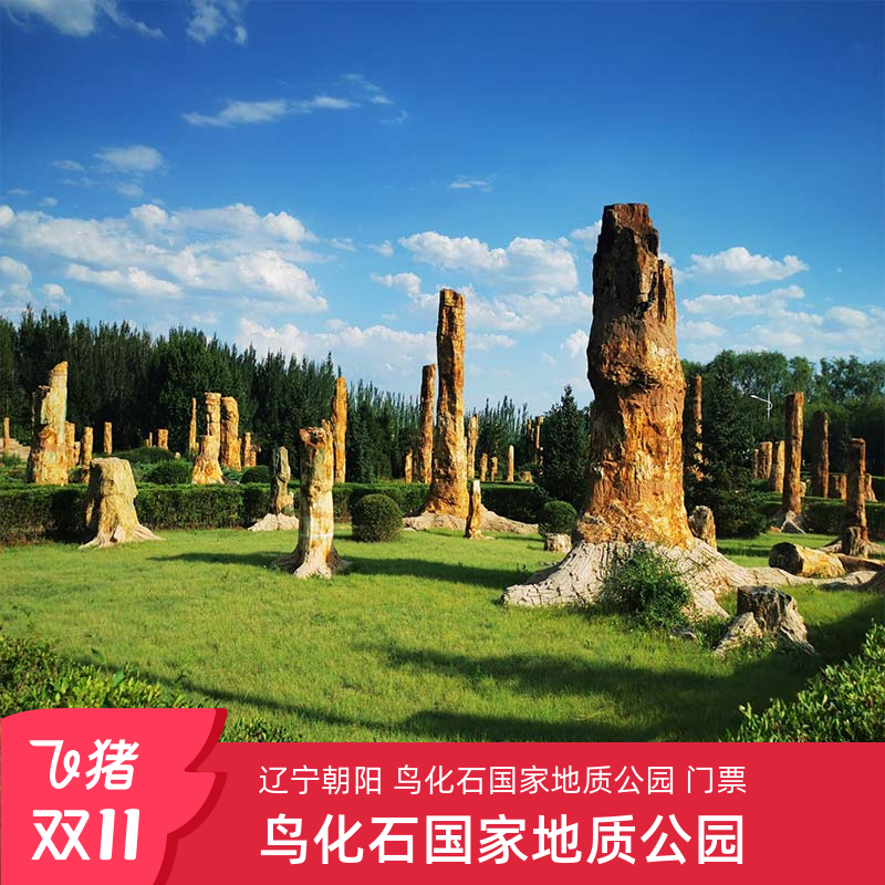 [鸟化石国家地质公园-大门票]朝阳 鸟化石国家地质公园 门票.