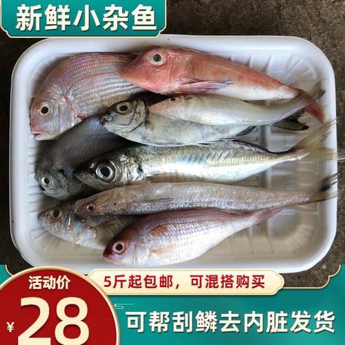 海鱼鸿运当鲜深海鱼海杂鱼
