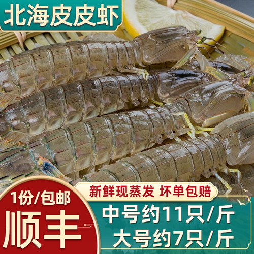 皮皮虾鲜活超大特大新鲜皮皮虾