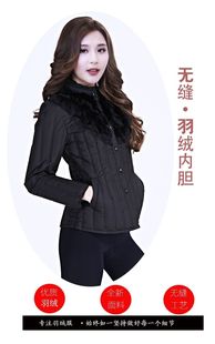 菁怡品牌女羽绒服内胆打底短款蕾丝公主风新颖独特无缝保暖抗寒