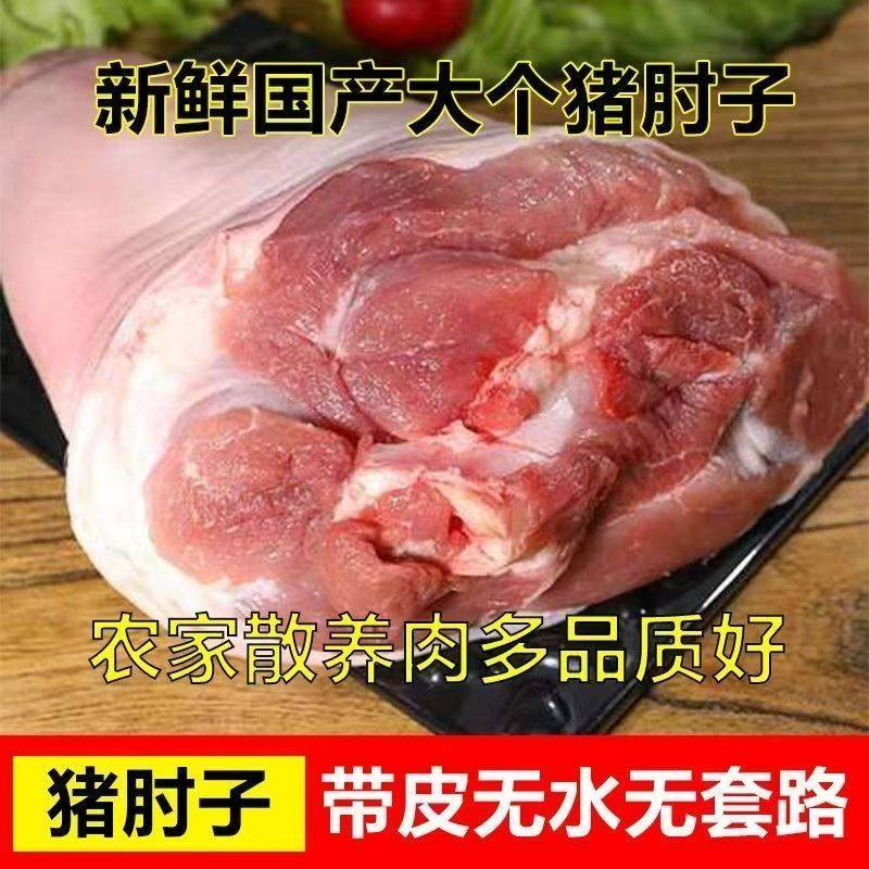 2只很便宜新鲜生猪肘子带皮大肘子国产猪肘前后肘农家散养生猪肉,水产肉类/新鲜蔬果/熟食,生猪肉,淘宝优惠券,粉丝福利购,淘宝优惠卷