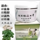 东方神奇大黄膏不辣皮肤美容院居家腰腹胳膊腿后背肚赘肉拔罐正品