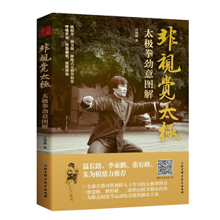 非视觉太极 太极拳劲意图解 北京科技9787530494585陈氏太极拳拳谱24式图解 膝盖损伤等运动伤害预防 内功心法劲法形意拳书籍