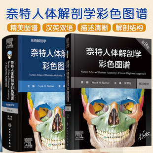 正版2本 奈特人体解剖学彩色图谱第8八版+系统解剖学英汉对照 人民卫生出版社 神经系统和感觉器脑神经与颈神经常用视图放射学影像