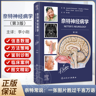 奈特神经病学 第三3版 李小刚 主译 奈特手绘图基础解剖学临床神经病学病例内科学书籍解剖教材博士 人民卫生出版社9787117357067