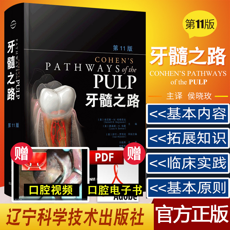 K+评价