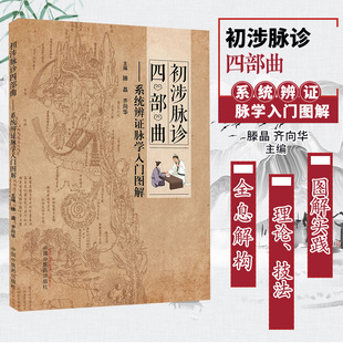 滕晶正版书籍 初涉脉诊四部曲系统辨证脉学入门图解 适合中医辩证脉学爱好者参考阅读 滕晶 齐向华 中国中医药出版社9787513264754