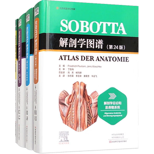 正版全4册 sobotta解剖学图谱 第24版 张志英等译解剖学总论肌骨骼系统内脏器官头部颈部神经解剖河南科学技术出版社9787572506529