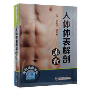 人体体表解剖速查 彩图版 介绍人体相应骨骼体表标志 肌性标志及临床常见压痛点的探查方法 郭长青 黄怡然 中国科学技术出版社