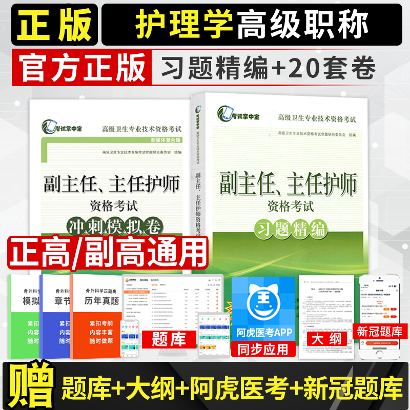 护理学副主任主任护师