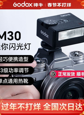 【理光专用】Godox 神牛iM30/iM20迷你复古闪光灯微单相机通用热靴机顶灯适用于理光gr3x hdf/GR2/GR1/GR4