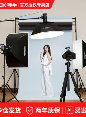 godox神牛摄影灯SK400 IIW二代影室闪光灯套装证件照形象照肖像照豆肯风摄影棚电商产品服装人像器材拍摄照相