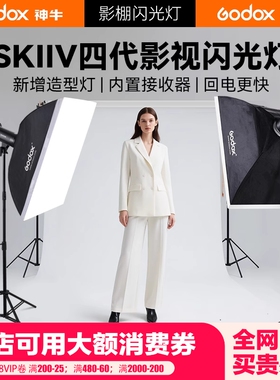 Godox 神牛sk400/300IIV四代影室闪光灯400w专业室内摄影灯服装人像证件照补光灯影棚静物产品广告拍照打光灯