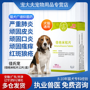 宠物狗狗肺炎药犬猫肺炎皮肤红猫口炎药皮肤病止痒药过炎敏宁鼻炎