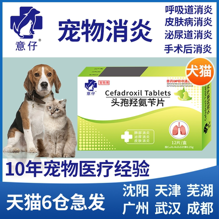宠物头孢羟氨苄狗狗猫咪皮肤病消炎药宠物尿路感染外伤消炎口服片