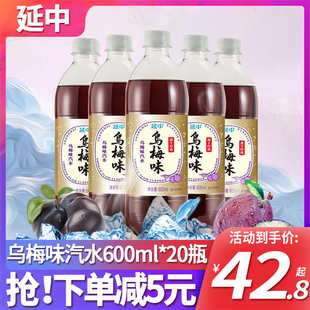 特价 夏季 20瓶整箱装 延中乌梅味汽水600ml 碳酸饮料果味汽水清凉品