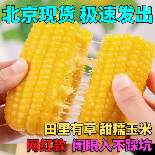 田里有草有机甜糯玉米香甜玉米