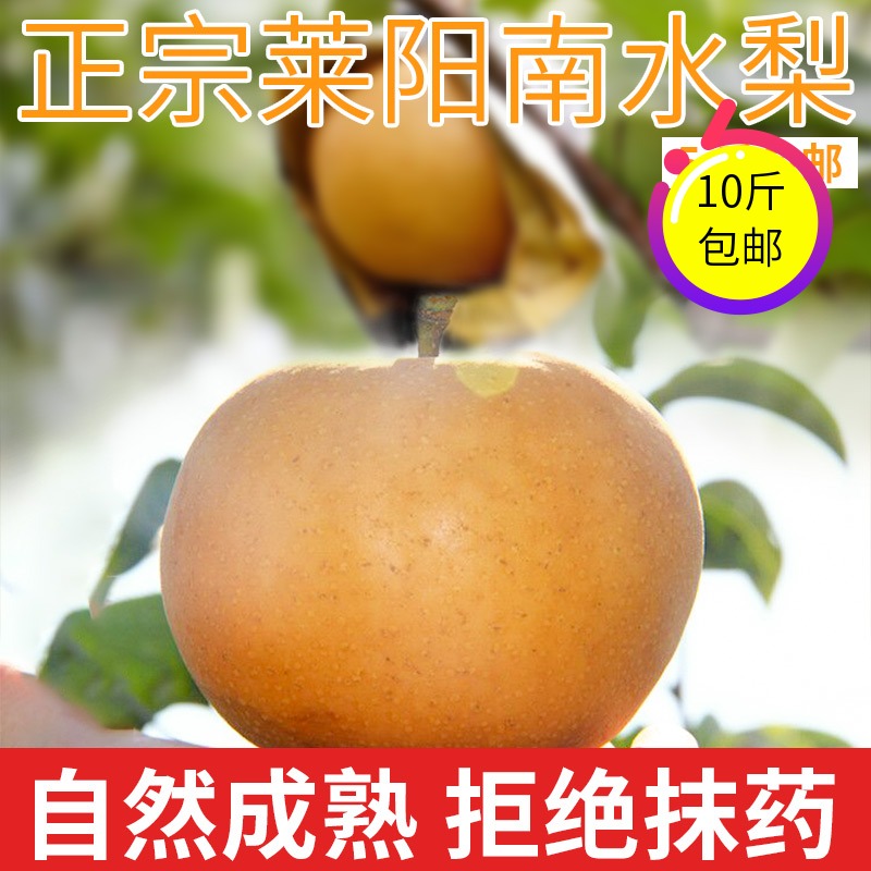 10斤正宗山东莱阳当季整箱南水梨