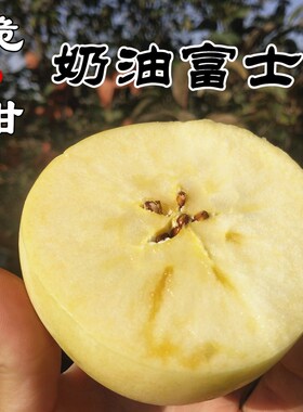 黄金奶油富士苹果山东烟台白色冰糖心新鲜水果当季整箱包邮