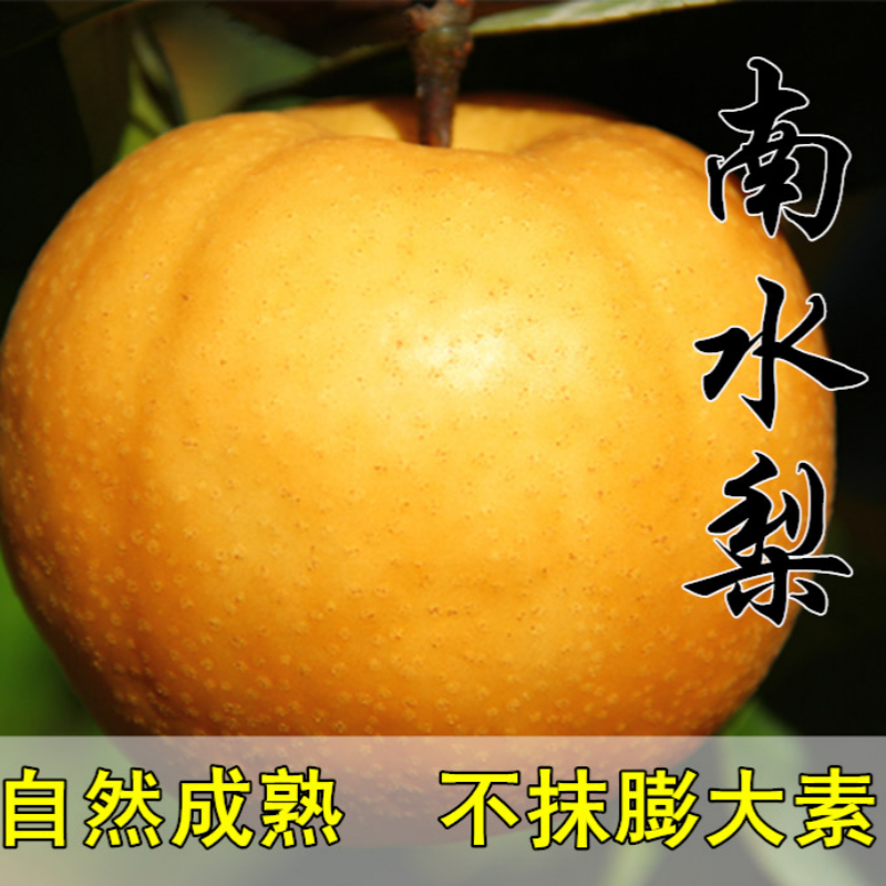 南水梨子新鲜水果山东特产孕妇莱阳冰糖梨南果梨脆甜多汁5斤包邮,水产肉类/新鲜蔬果/熟食,梨,淘宝优惠券,粉丝福利购,淘宝优惠卷