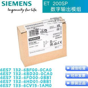 6FD00 1AM 132 6CV15 6HD01 0BB1 6BD20 0CA0 6BF00 6ES7 6ES7132