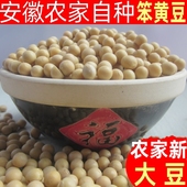 安徽农家自种新鲜黄豆打豆浆豆粉专用散装 5斤家用焖猪蹄配料即食
