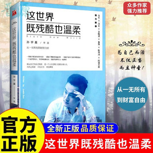 这世界既残酷也温柔 90后创业代表孙宇晨著正能量成功学励志小说书籍