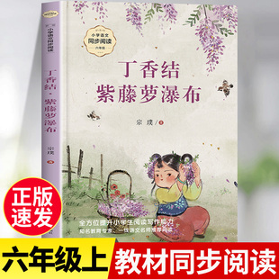 紫藤蘿瀑布丁香結(jié)宗璞著六年級(jí)上冊(cè)課外書 作品集文學(xué) 好一朵木槿花 六七年級(jí)課外閱讀 語文教材配套同步閱讀書籍宗璞散文精選經(jīng)典
