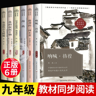 课外呐喊彷徨 三间小屋我 我是青年巴金作品精选海燕 精神 叔叔于勒蒲柳人家 鲁迅散杂文精编 初中课外阅读书籍必读九年级必读
