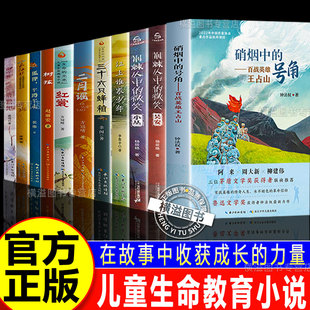 百战成军神老兵王占山硝烟中的号角钟法权著作红色英雄革命信仰江上谁家少年三十六只蜂箱爱国主义教育儿童文学经典读物推荐二月谣
