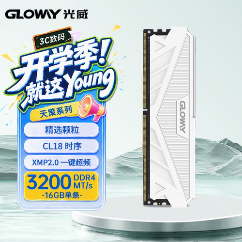 全新光威(Gloway)16GB DDR4 3200 台式机内存条天策 马甲条皓月白