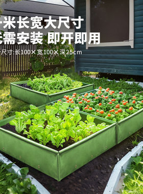 bloombagz种菜专用箱种植箱楼顶种菜盆神器家庭阳台花盆户外花箱