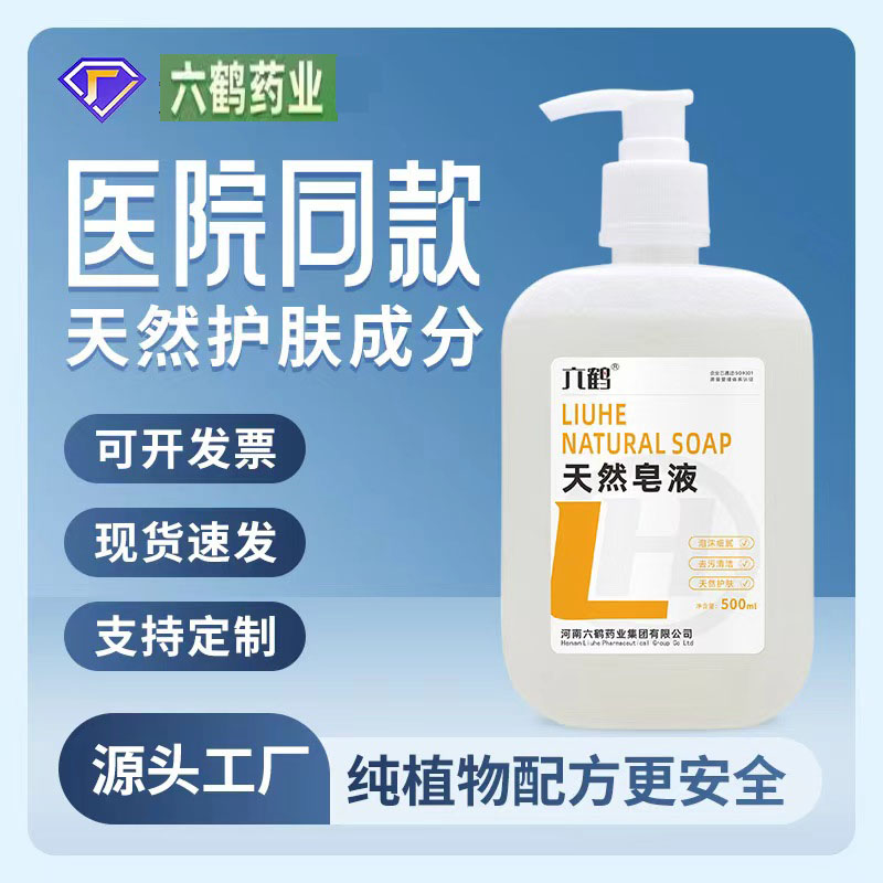 六鹤家庭皂液去污无残泡沫洗手液
