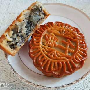 个满10个 广西横县特产什锦伍仁叉烧莲蓉月饼120克 包邮 新日期